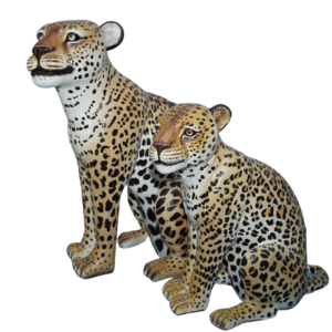 LEOPORD CUBS