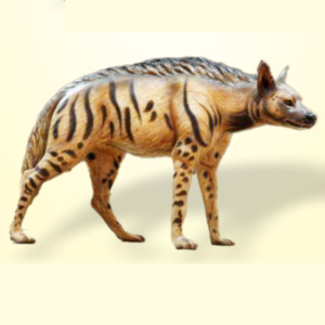 HYENA