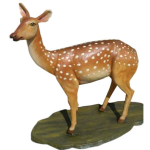SPOTTED DEER